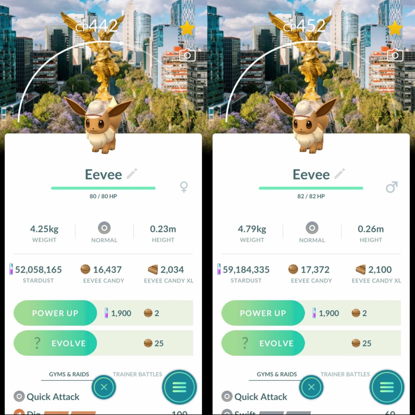 Pokemon Eevee Wearing an Explorers Hat Background Mexico City Safari – TRA’DE