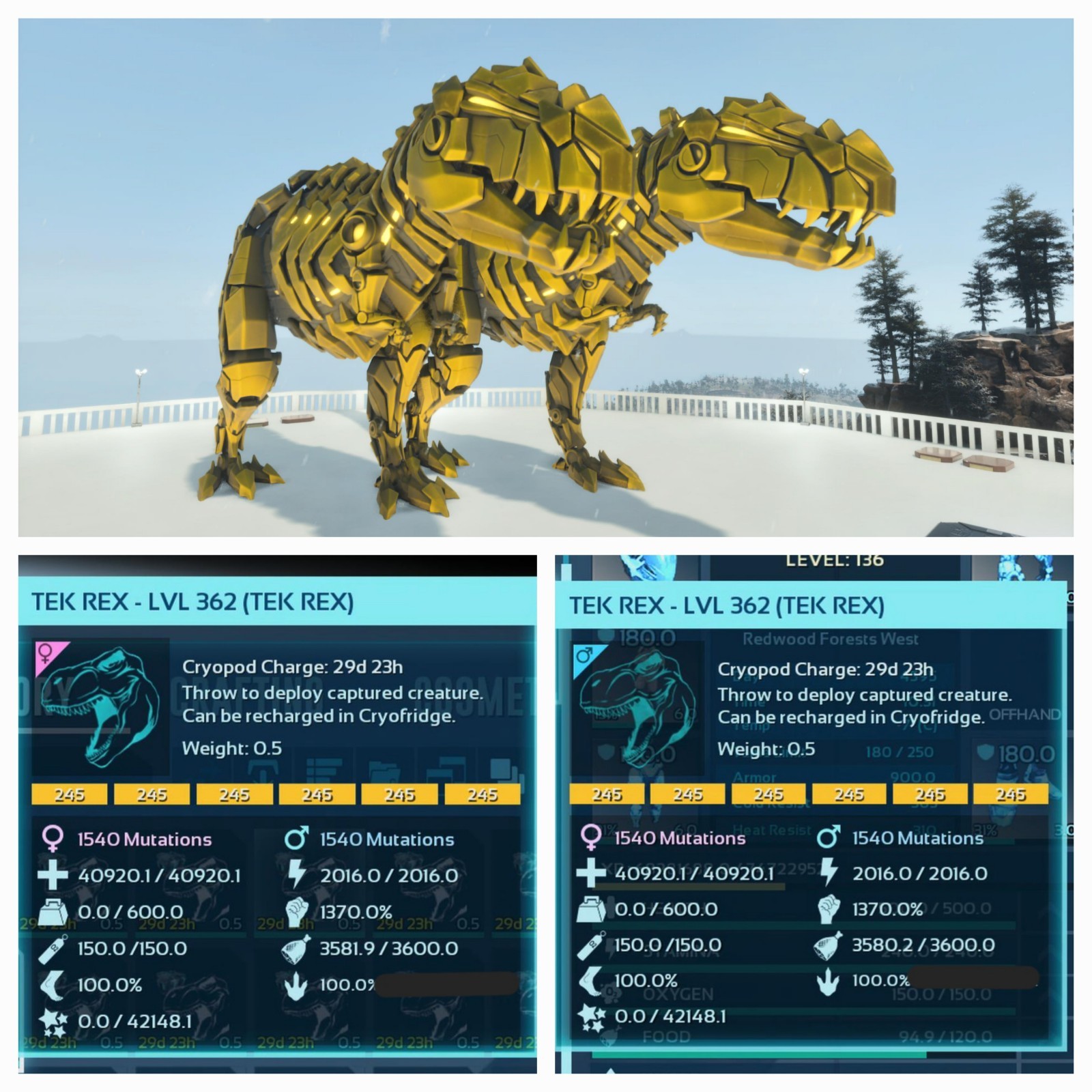 NEW TOP TEK REX GOLD #245 PAIR ADULT 100% IMPRINT ARK ASCENDED PVE. PC/XBOX/PS5.