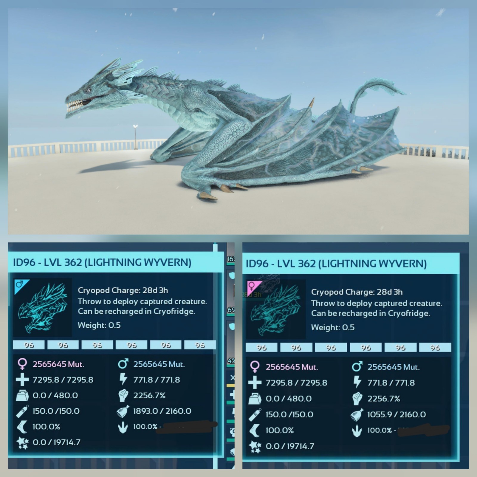 WYVERN LIGTHNING GLACIAL PAIR ADULT 100% IMPRINTED ARK ASCENDED PVE PC/XBOX/PS5