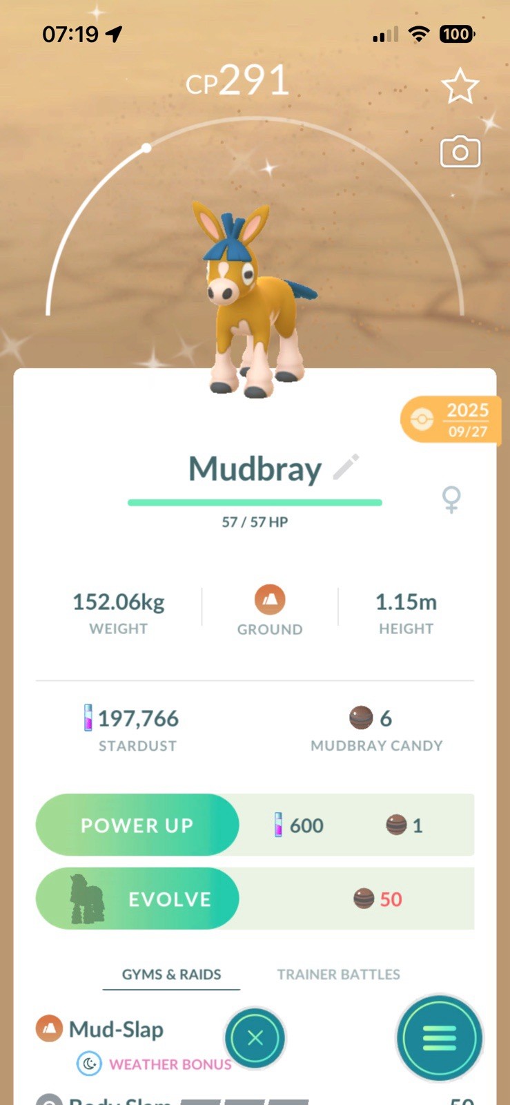 Shiny Mudbray, Exclusive Safari Zone, Pokémon Go (1 M Dust Unregistered Trade) ✨