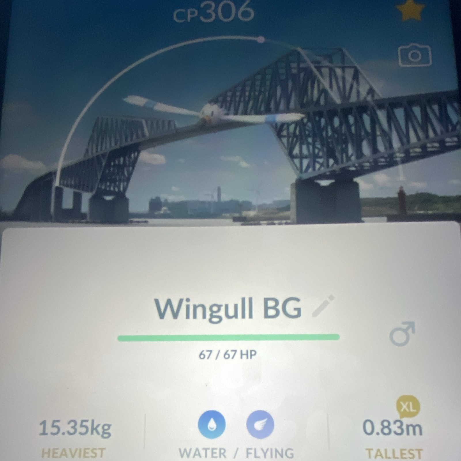 Pokémon GO Wingull BG Tokyo Stamp Rally Background Digital Item 2026