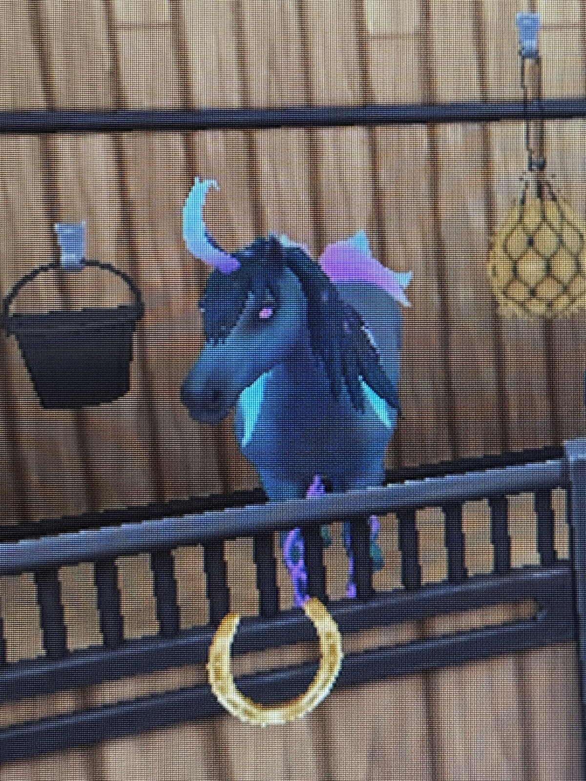 STAR STABLE Lifetime Account