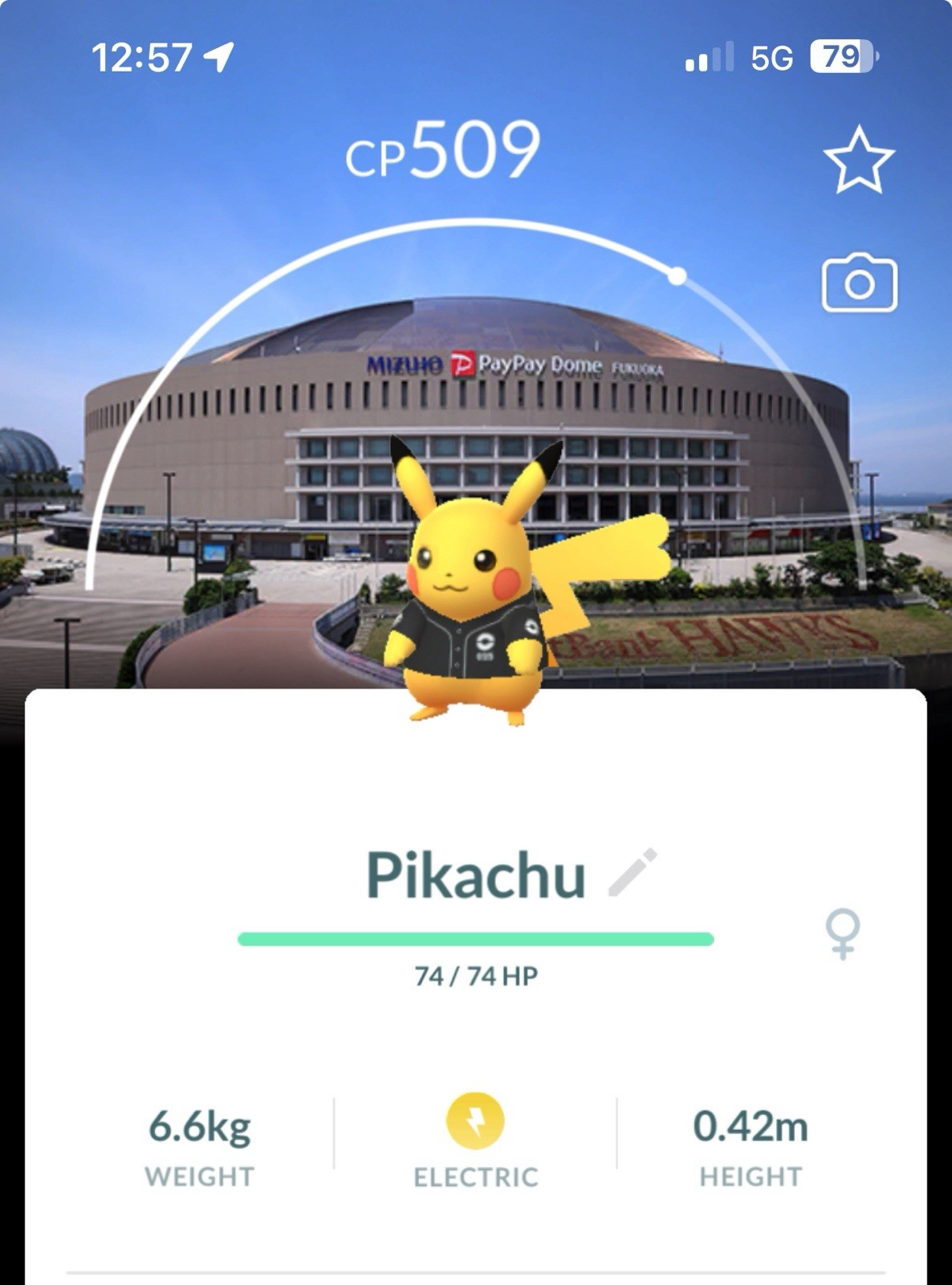 Pikachu Fukuoka SoftBank Hawks Background‎ Pokemon Japan Baseball Go Pokémon