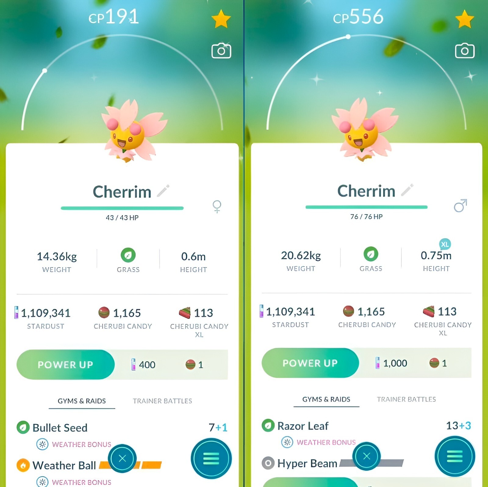 Shiny Cherrim male and female | registered or friendship 30days | Tr-de Go ✨