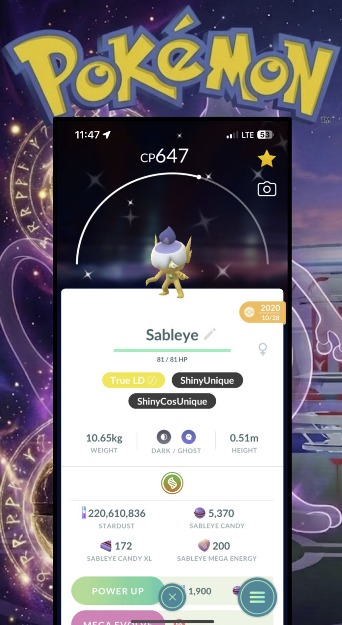Shiny Litwick Costume Sableye – Registered Pokemon GO