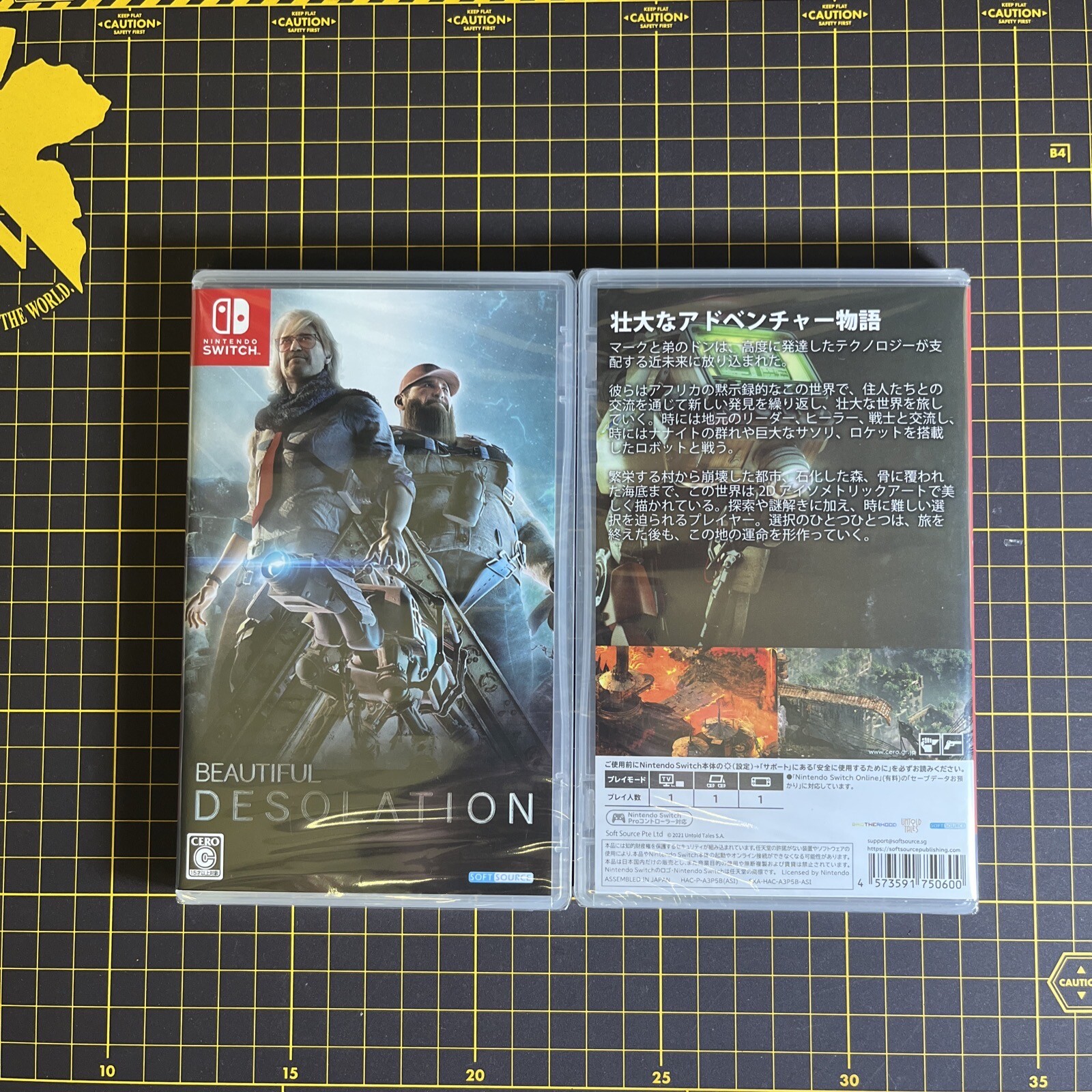 Nintendo Switch BEAUTIFUL DESOLATION Multilingual Adventure RPG SOFTSOURCE NEW