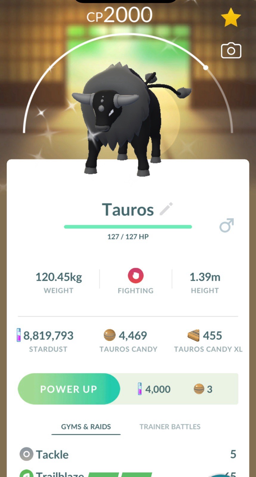 Pokemon✨Shiny Paldean Combat Tauros✨TRA-DE✨Go Fest Denmark 2026✨