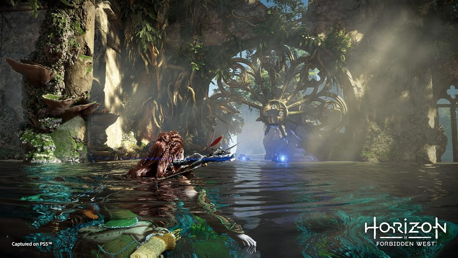 Horizon Forbidden West (PS4) PlayStation 4