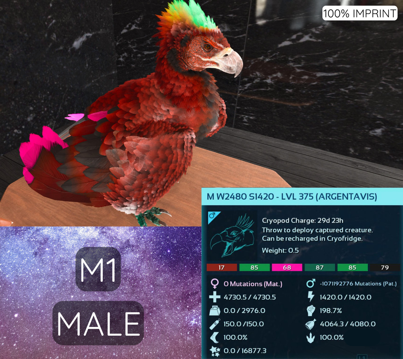 Ark Ascended Official Server PVE PS5 XBOX PC NEW TOP STATUS ARGENTAVIS 2480W