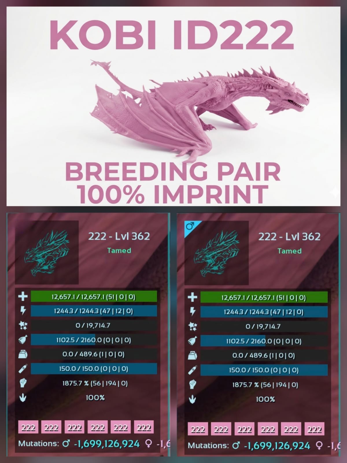 Fire Wyvern ADULT BREEDING PAIR – 100% Imprint Ark Asa Official PVE PC/XBOX/PS5