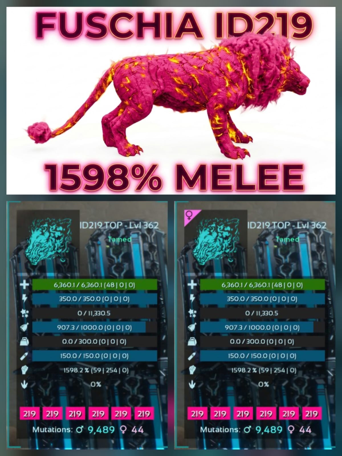 Pyromane Top Stats BABY PAIR Ark Survival Ascended Official PVE PC/XBOX/PS5