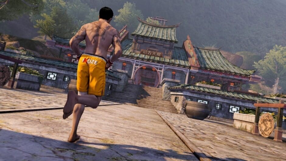 Sleeping Dogs: Definitive Edition – PlayStation 4 – With Case