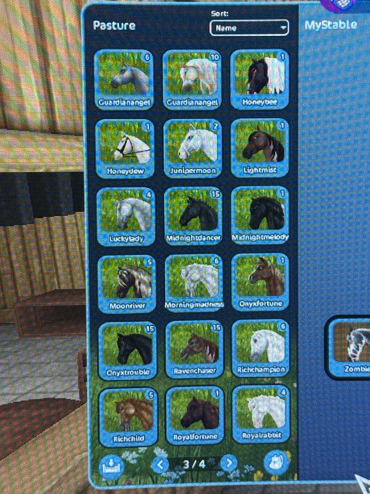 STAR STABLE Lifetime Account