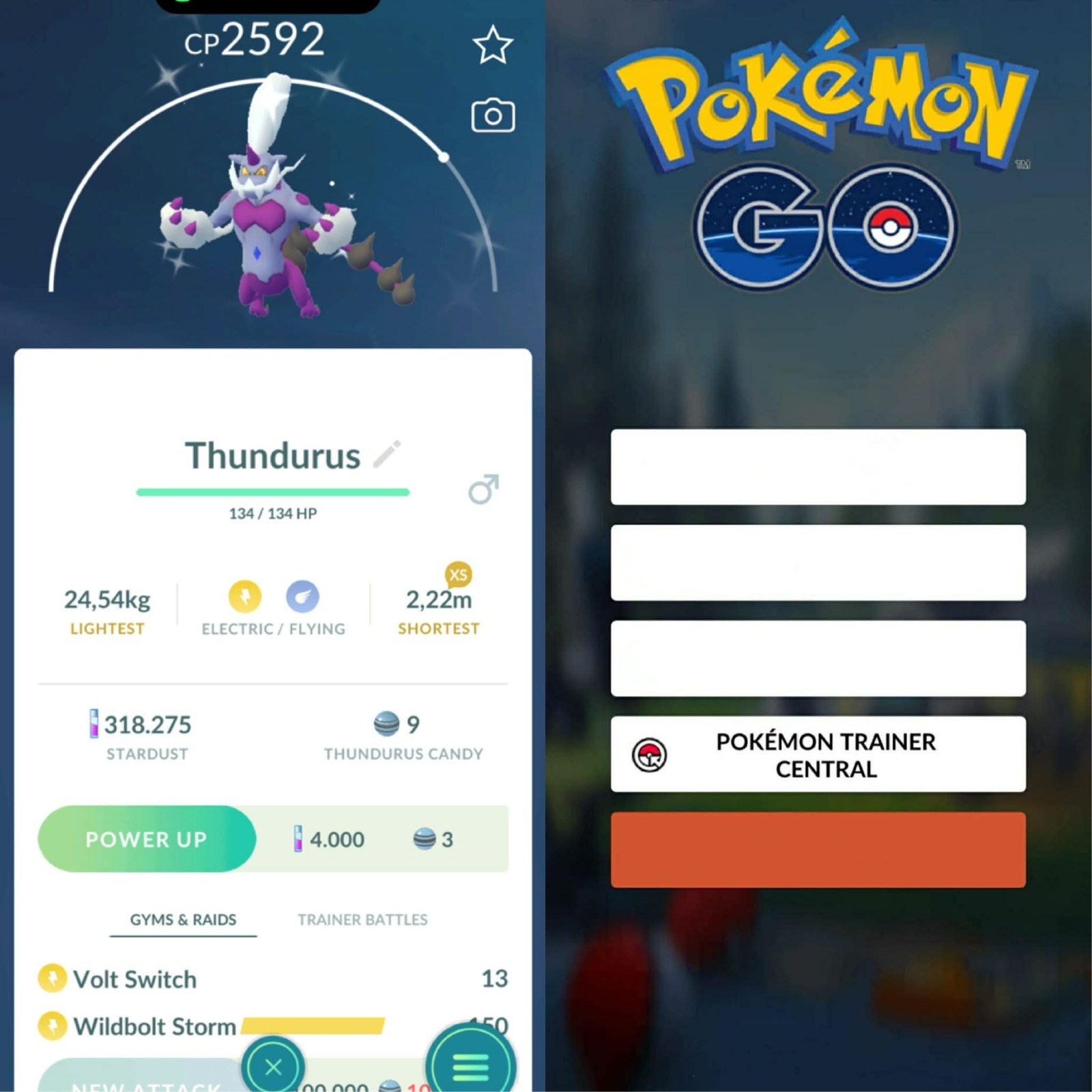 Pokémon Go | Shiny Thundurus ✨ Mini PTC 80k Stardusts