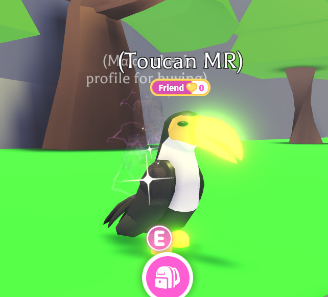 Adopt A Pet from Me – Mega Ride Toucan – *SAME DAY DELIVERY*