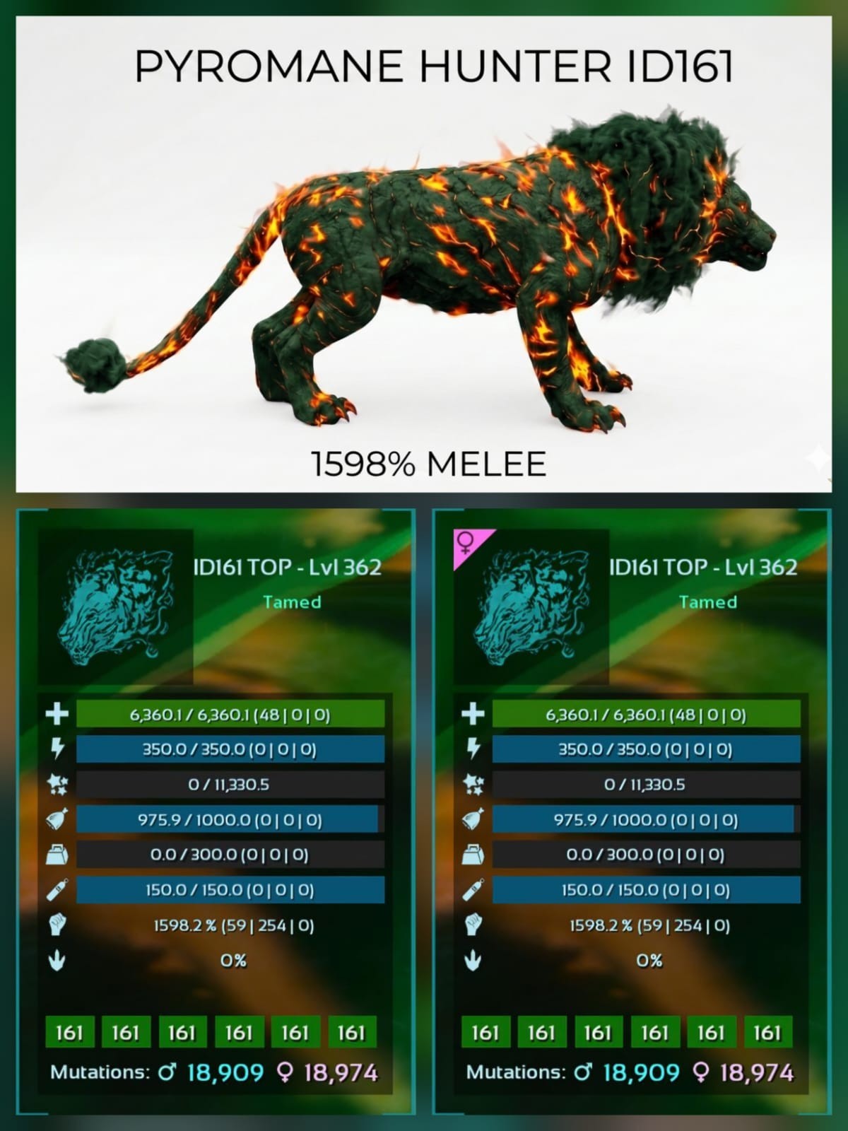Pyromane Top Stats BABY PAIR Ark Survival Ascended Official PVE PC/XBOX/PS5
