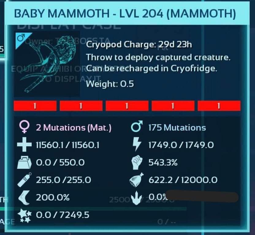 ARK ASCENDED OFICIAL PVE PAIR BABY MAMUTE RED ID01 TOP STATUS PC/XBOX/PS5