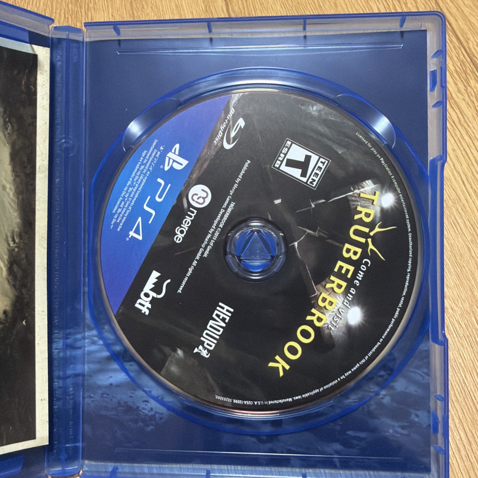 Truberbrook Standard Edition PS4 Video Game Adventure Mystery