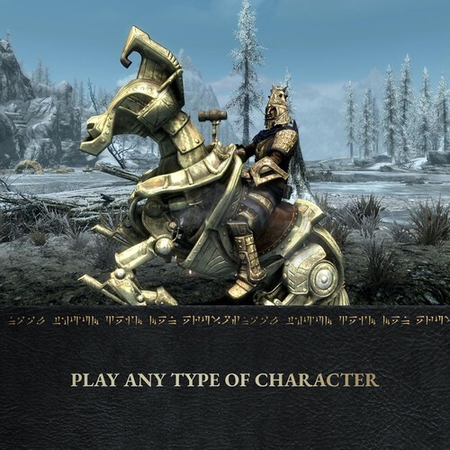 Skyrim Anniversary Edition for Nintendo Switch 2 [New Video Game]