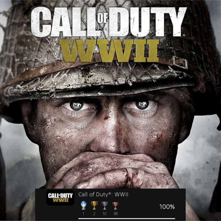 Platinum Trophy Service Call of Duty: WW2 + (All DLCs)