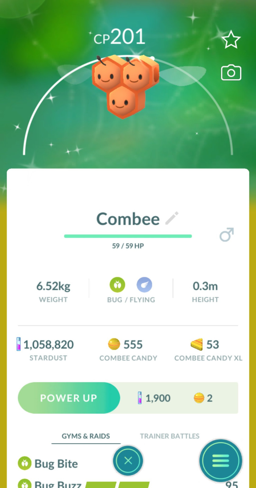 Shiny male Combee Pokémon Go (READ DESC)