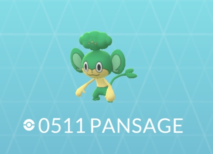 Pokémon Regional Pansage Go TD