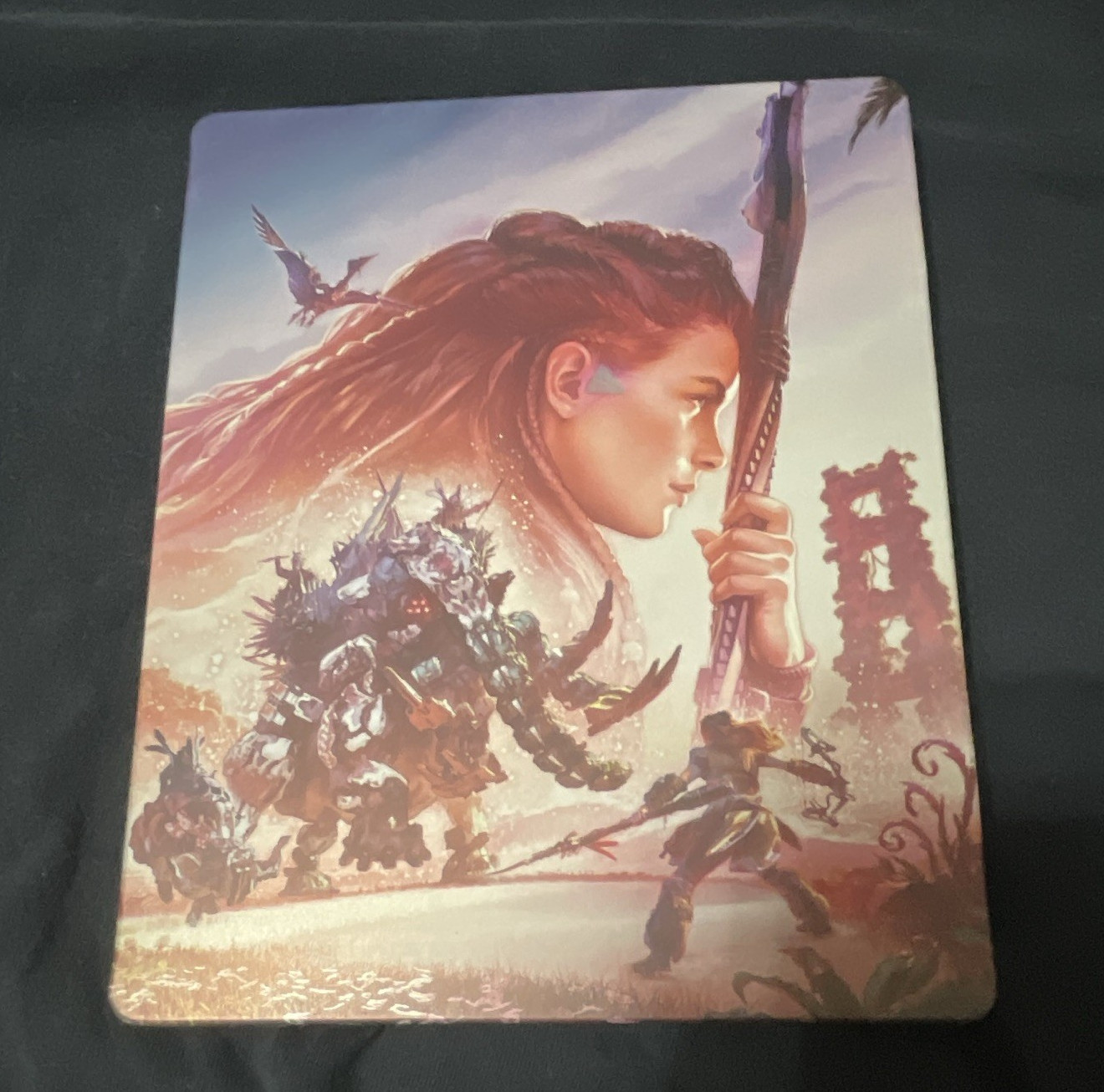 Horizon Forbidden West SteelBook And Game.