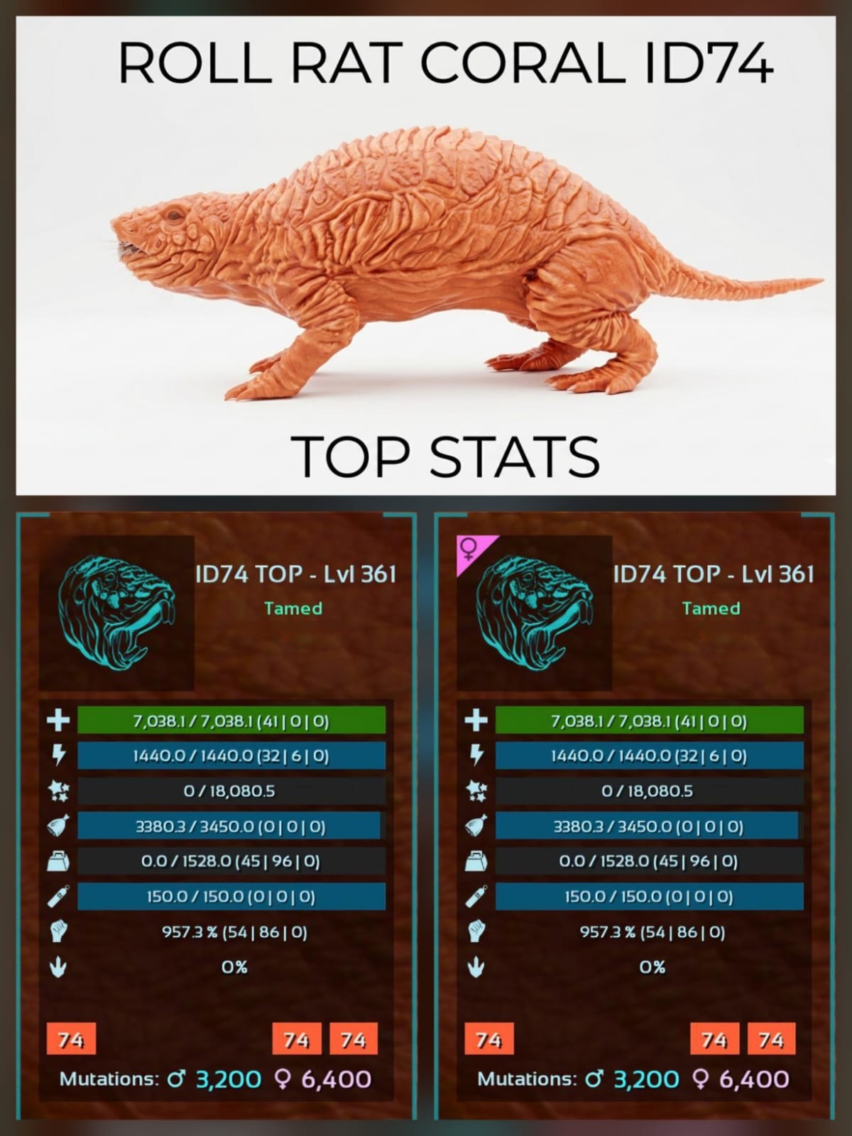 Roll Rat Top Stats – BABY PAIR – Ark Survival Ascended Official PVE PC/XBOX/PS5