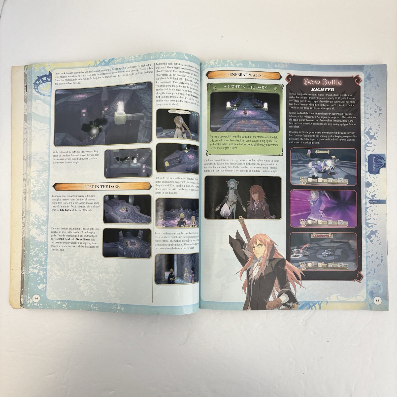Tales of Symphonia Dawn of the New World Nintendo Wii Complete w/ Strategy Guide