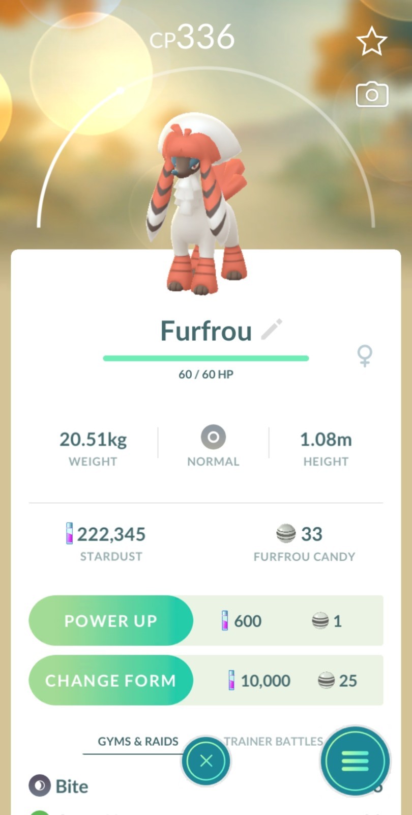 Furfrou Kabuki Trim Trade Pokémon Go Trade Regional Japanese
