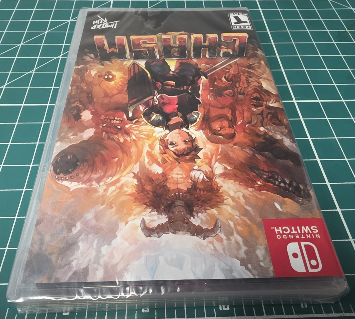 CHASM (Nintendo Switch, 2018) – Limited Run #085 – Brand New – Factory Sealed!
