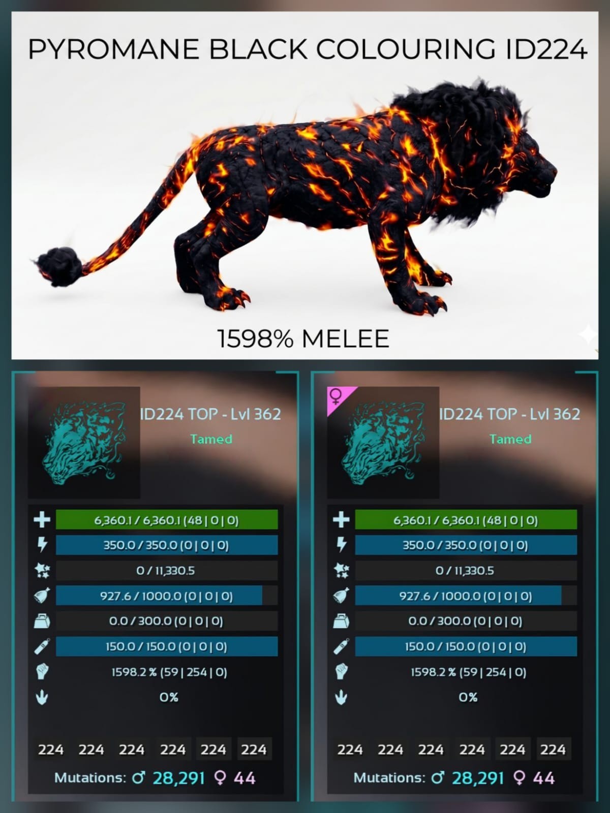 Pyromane Top Stats BABY PAIR Ark Survival Ascended Official PVE PC/XBOX/PS5