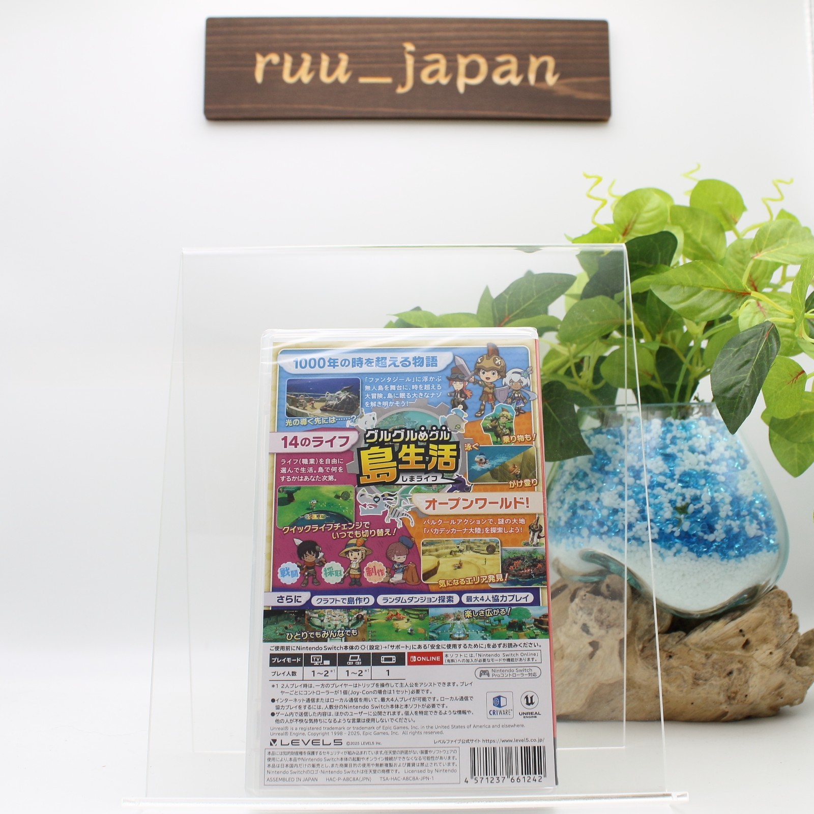 New FANTASY LIFE i The Girl Who Steals Time SWITCH Multilingual