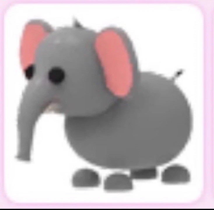 Elephant !! Adopt Me 🐘
