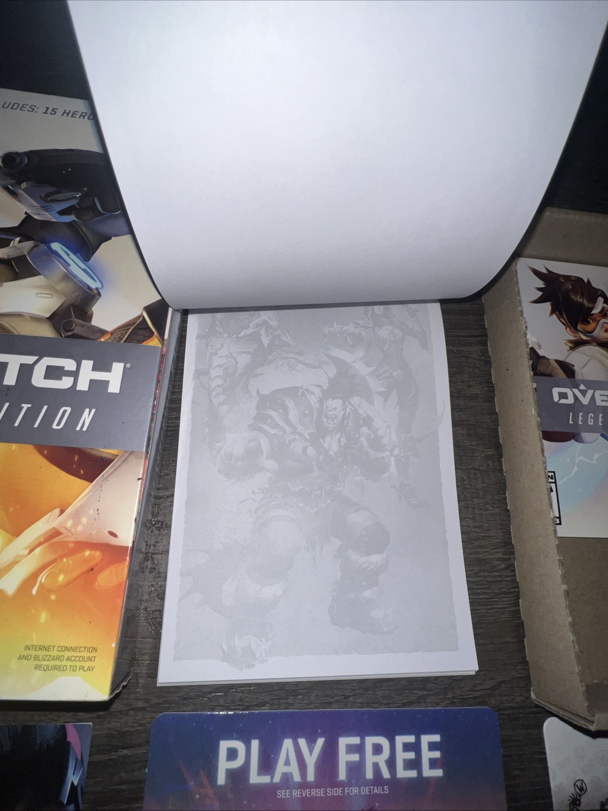Activision Blizzard Overwatch Legendary PC Edition