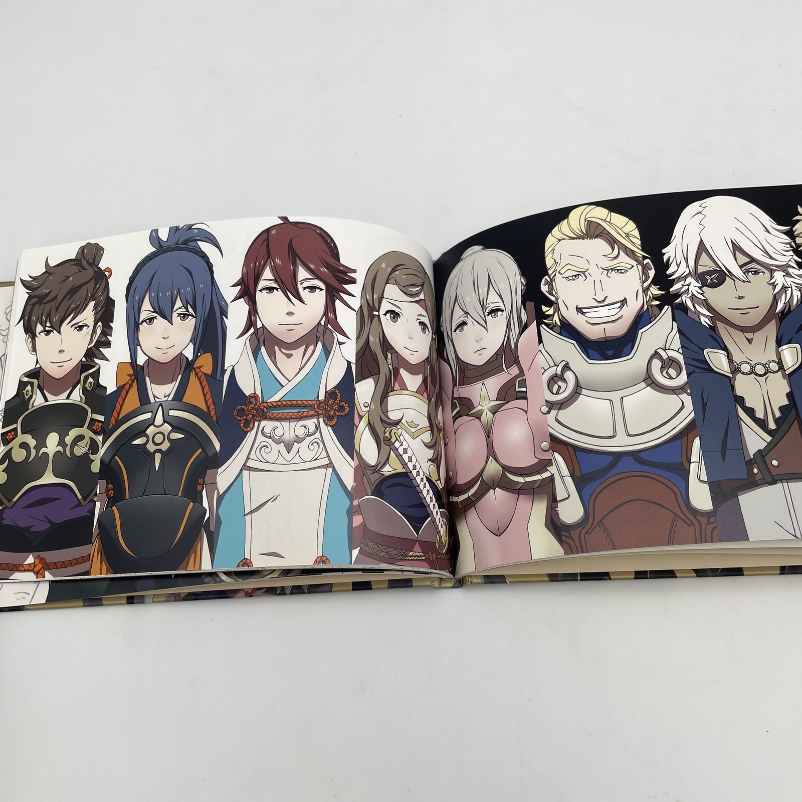Nintendo 3DS software Fire Emblem if Special Edition limited