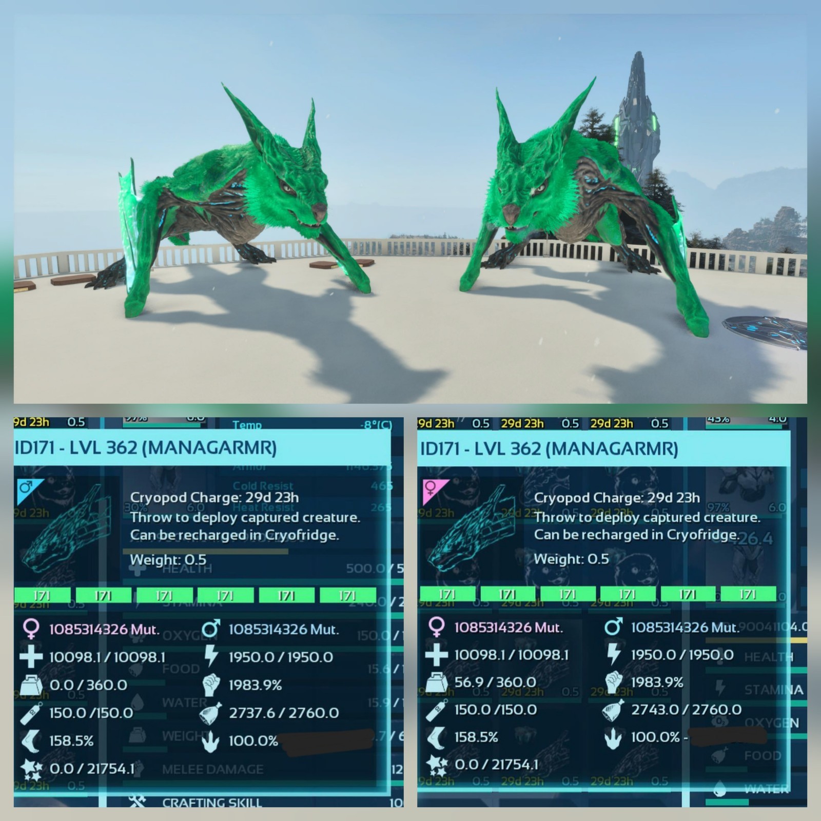 MANAGARMR ADULT 100% IMPRINT PAIR TOP STATUS ARK ASCENDED PVE PC/XBOX/PS5