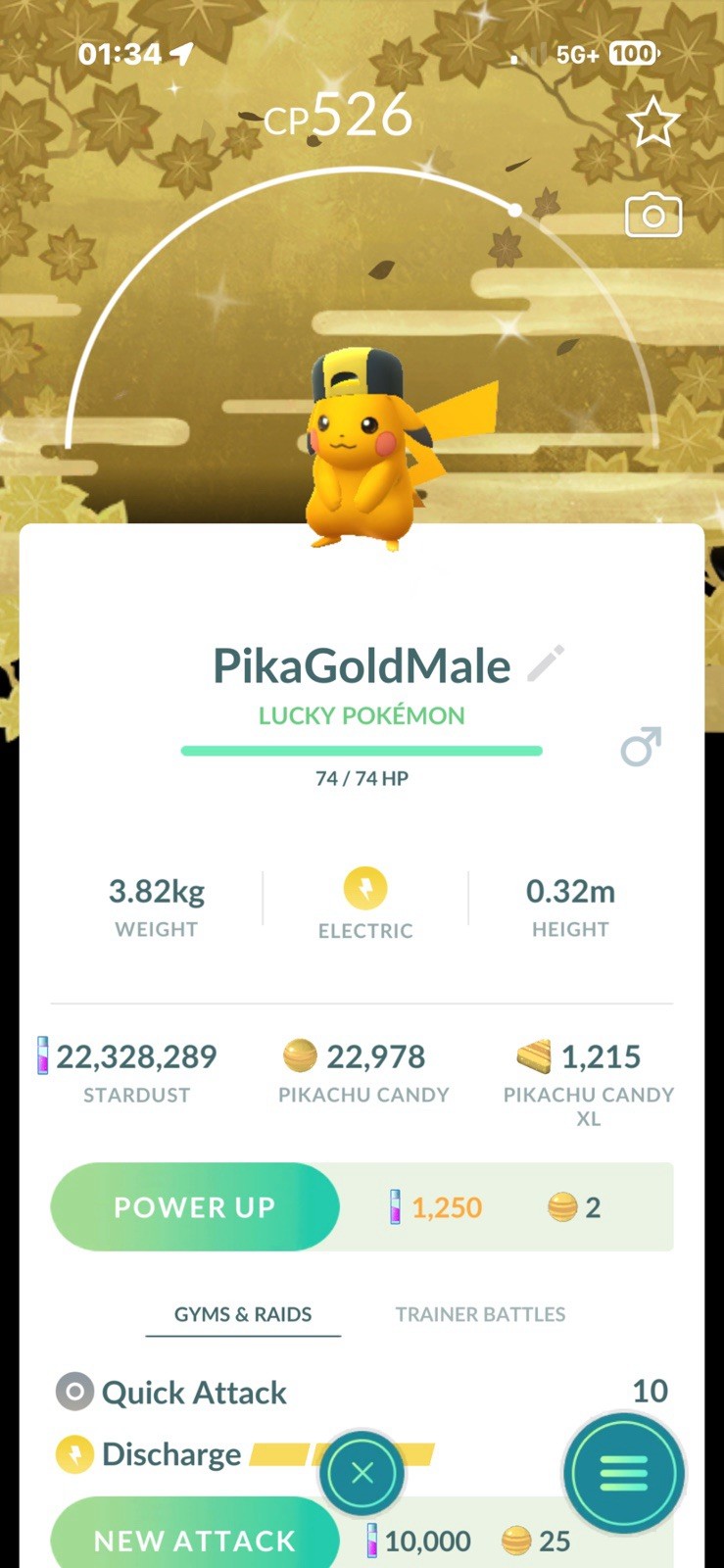 Pokemon Shiny Pikachu | Gold OR Silver BG Black Cap Go Tour 2026 Male OR Female