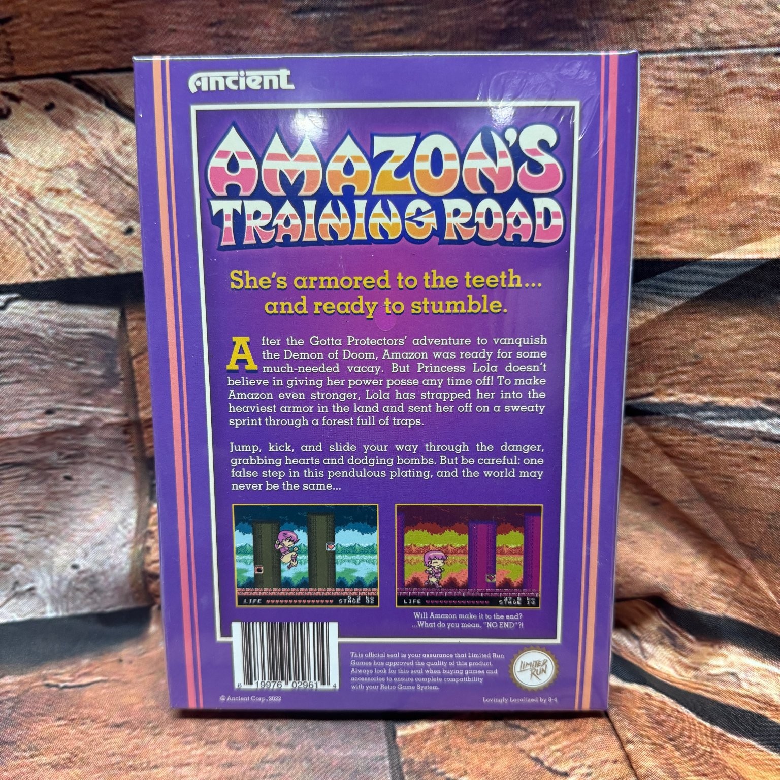 Amazon’s Training Road NES Video Game Limited Run Ancient Retro Platformer