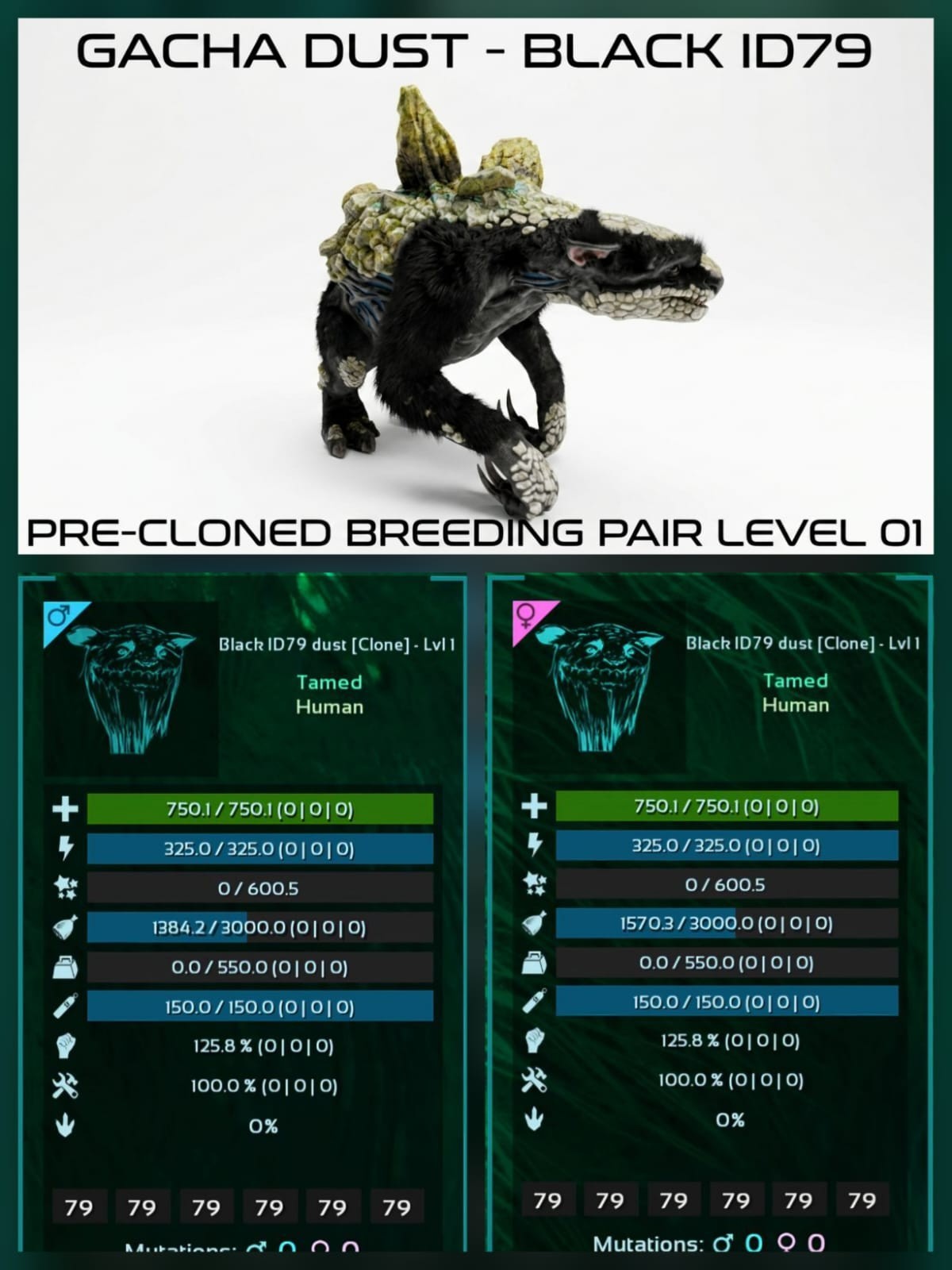 GACHA Dust LVL 01 Pre-Cloned breeding Pair Ark Ascended Official PVE PC/XBOX/PS5