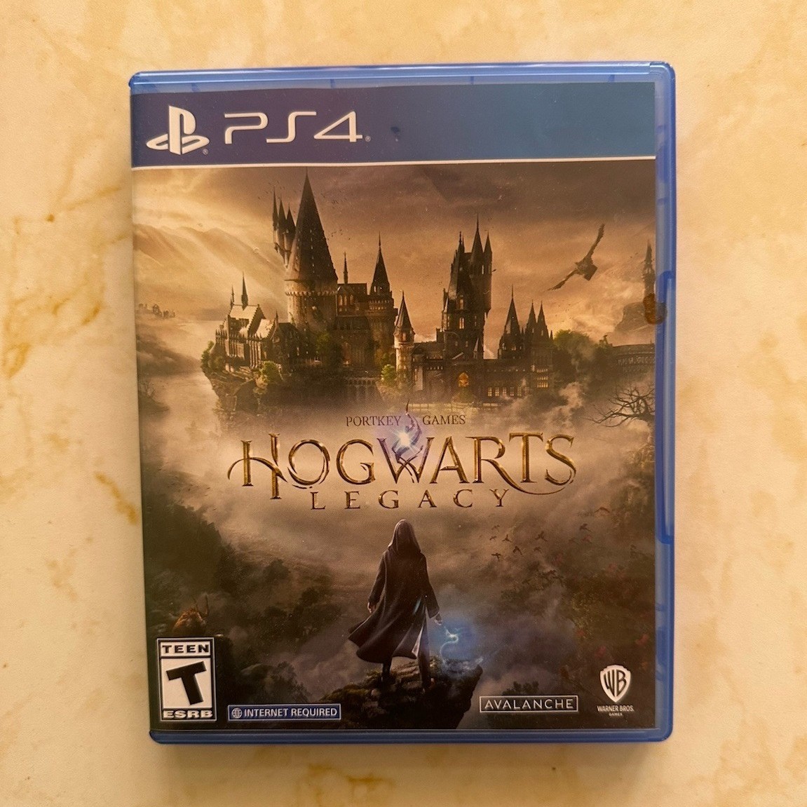 Warner Bros. Games Hogwarts Legacy PS4 Action Fantasy Internet Required