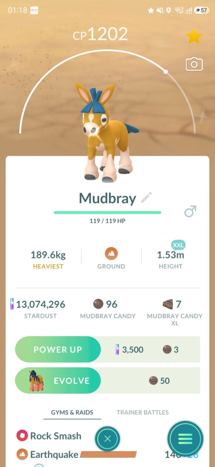 Shiny Mudbray ( XXL ) Pokémon Trade✨️ GO – Ultra Friends / Registered