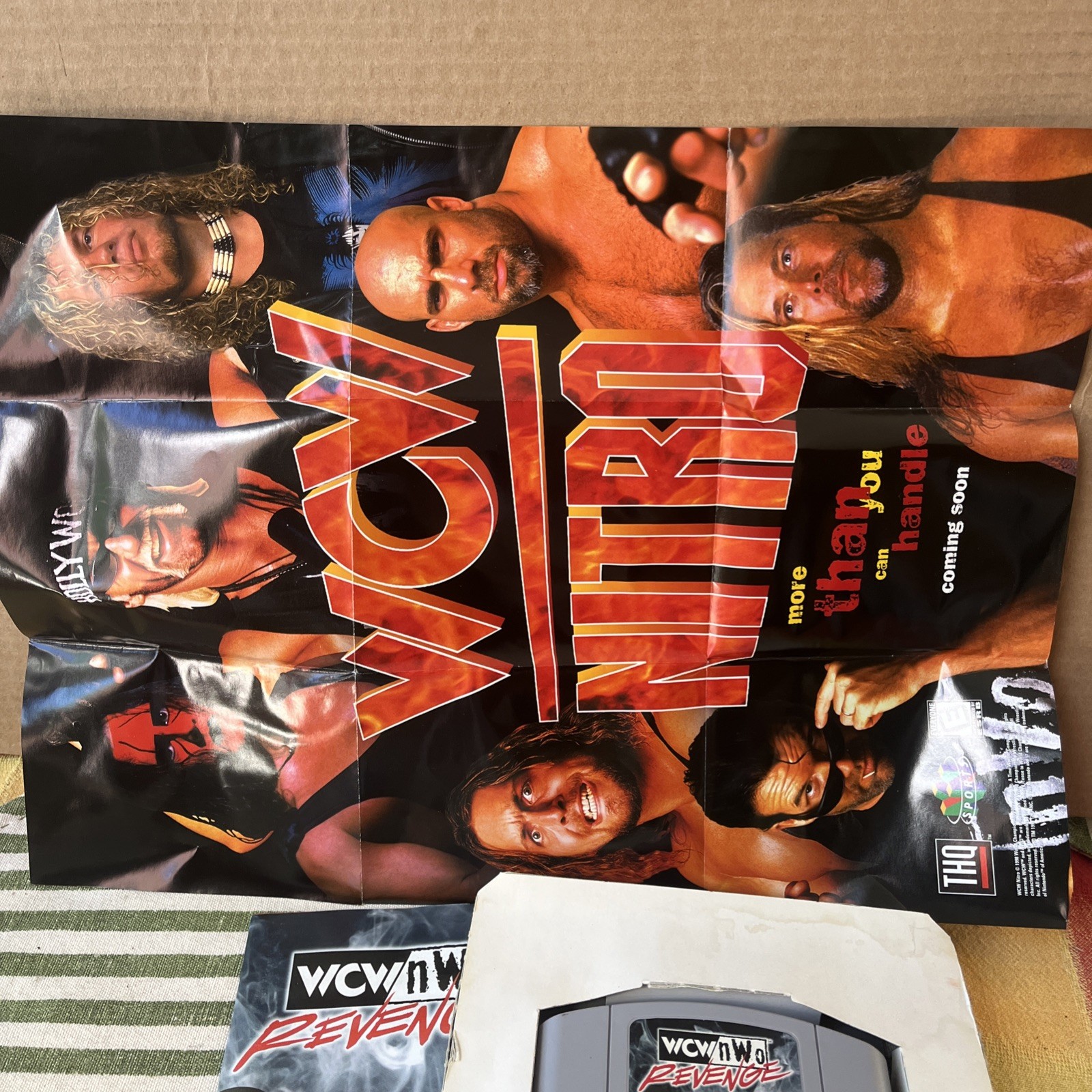 WCW/NWO Revenge (Nintendo 64, 1998) Complete in Box (CIB)