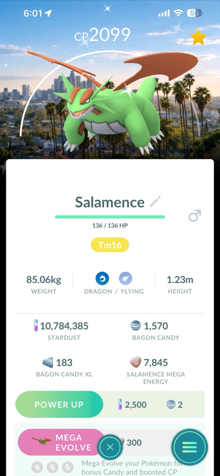 Salamence SHINY Background ✨ Pokemon Go ✨