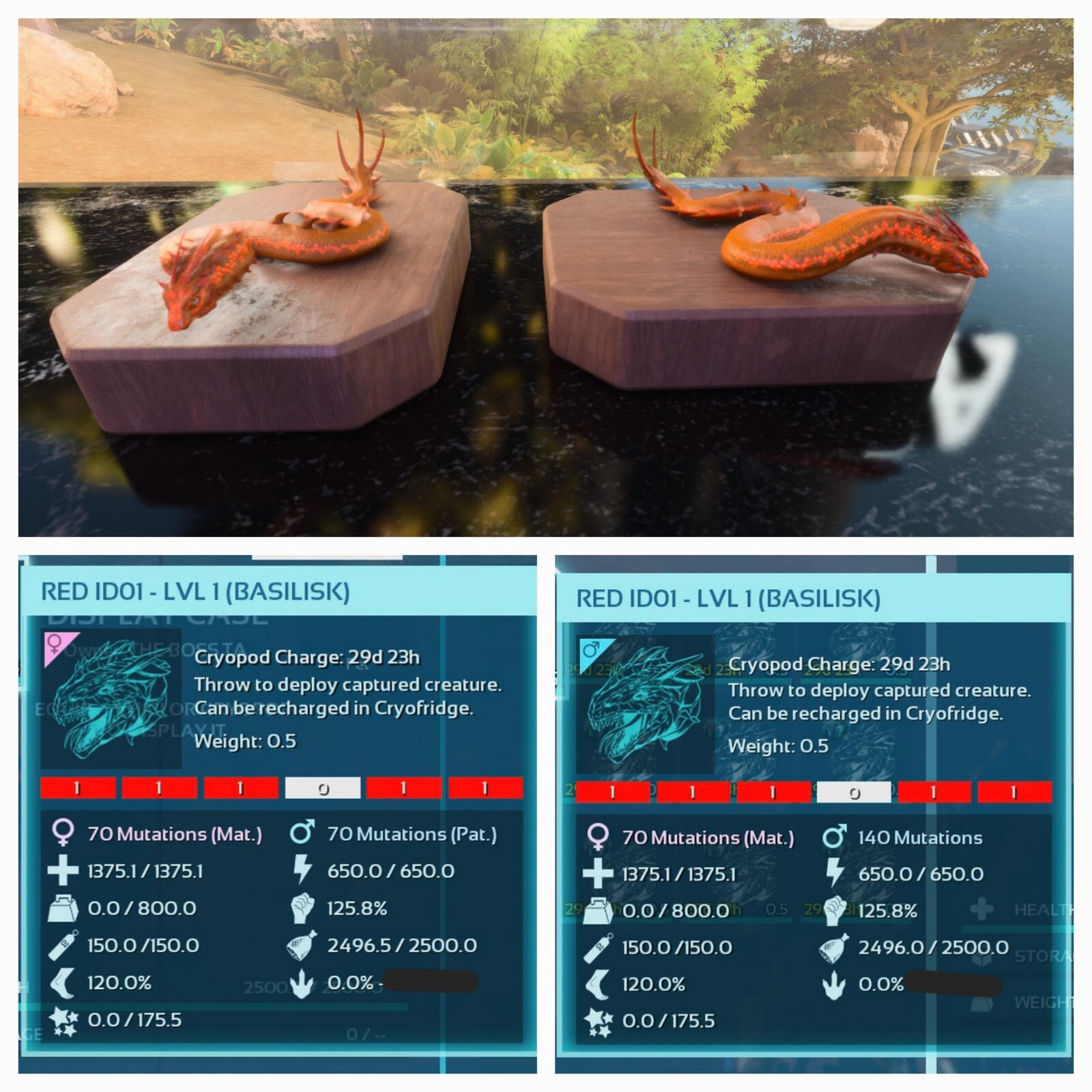 ARK ASCENDED PVE OFFICIAL PAIR CLONED BASÍLISK RED ID01 LEVEL 01 PC/XBOX/PS5