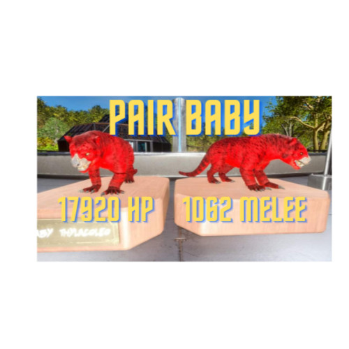 ARK ASCENDED PVE OFFICIAL PAIR BABY THYLA RED ID01 HIGH STATUS PC/XBOX/PS5
