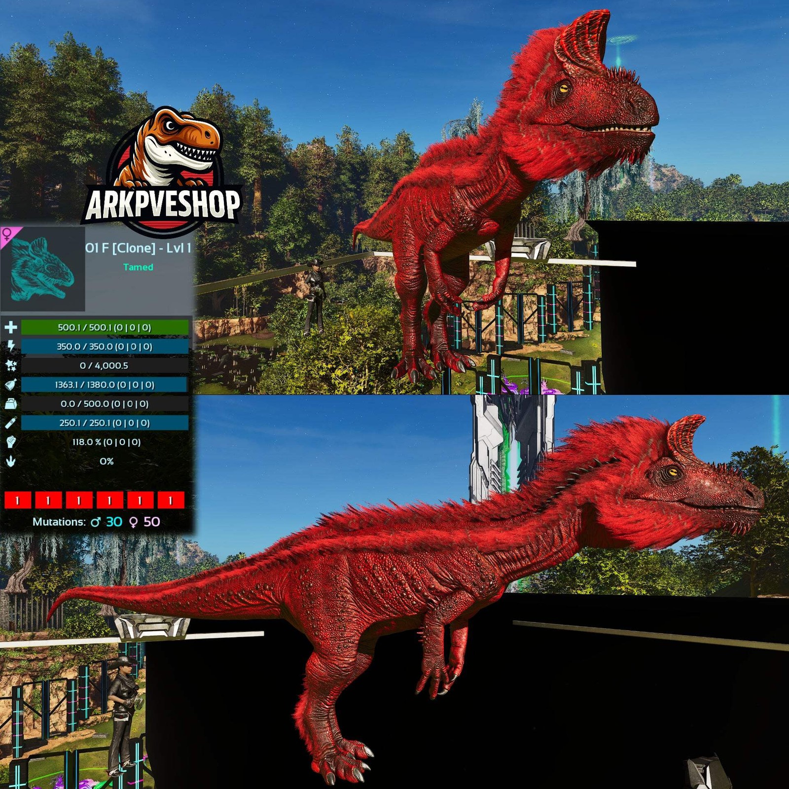 Cryolophosaurus Cryolo Lvl 1 Clone ASA PVE 🦖ARK Survival Ascended