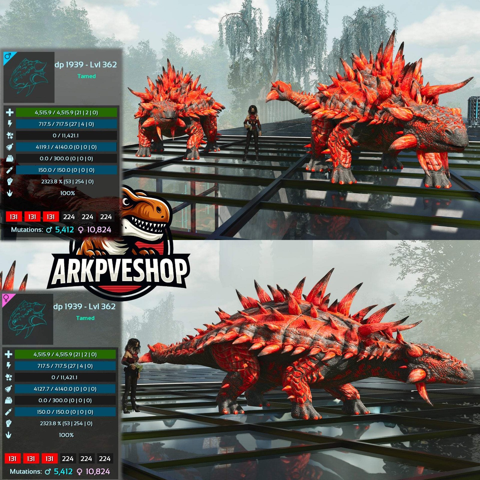 Aberrant Ankylosaurus Ankylo 2323.8%Melee ASA PVE 🦖ARK Survival Ascended
