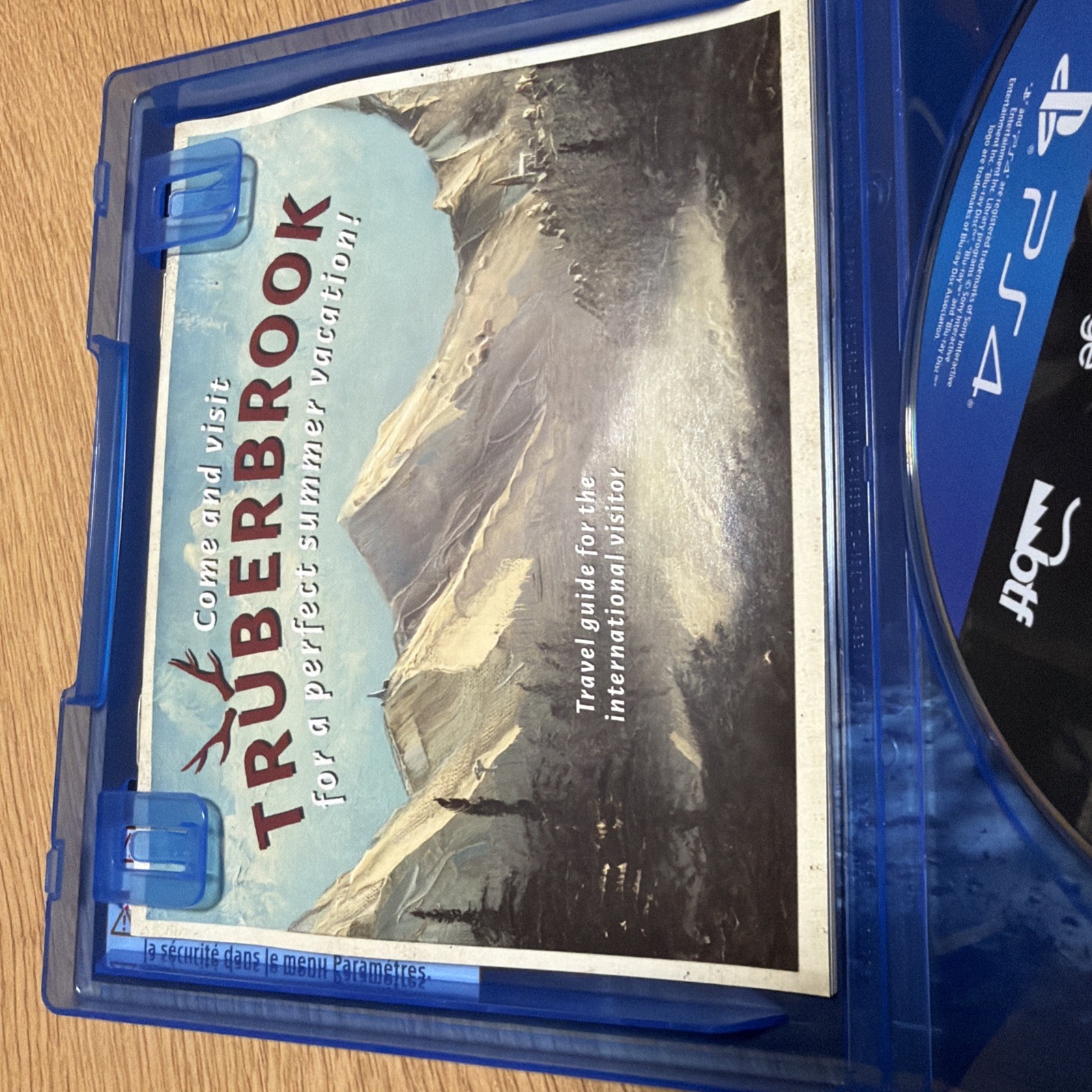 Truberbrook Standard Edition PS4 Video Game Adventure Mystery