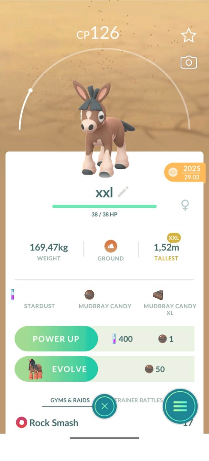 Pokemon Mudbray XXL (Not Shiny) Trade Go